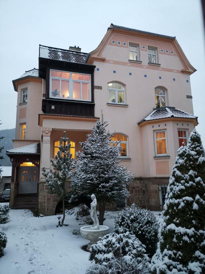 Villa Federer Dolni Zalezly ภายนอก รูปภาพ